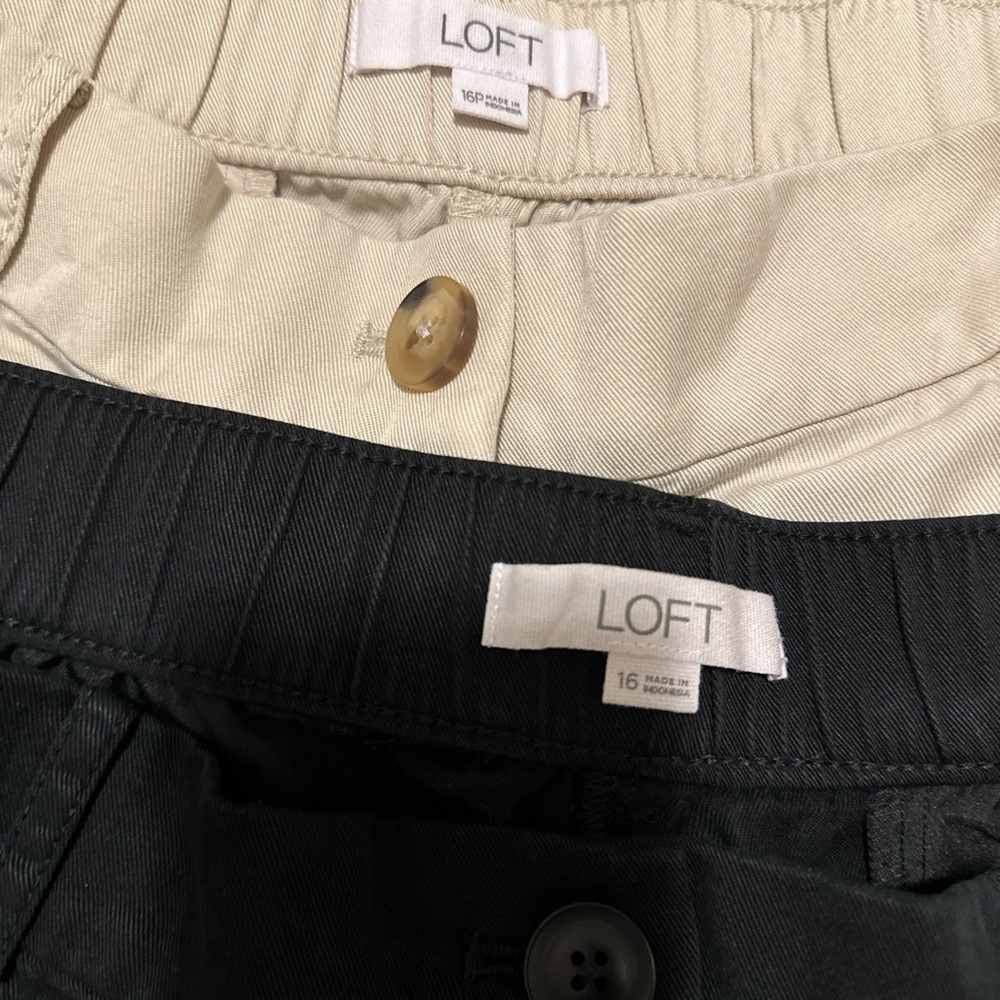 LOFT Pleated Shorts in Emory (2 pair) - Picture 3 of 8